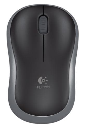 mouse
